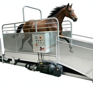 Three Power Motor Horse Treadmill High-Speed for Professional Training